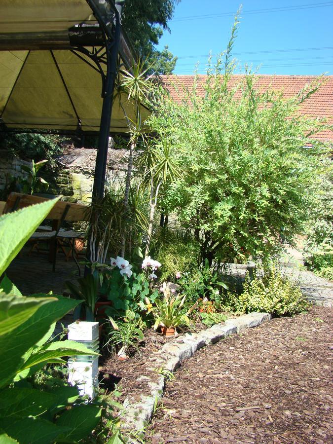 Ferienwohnung Toscana Dresden Ngoại thất bức ảnh